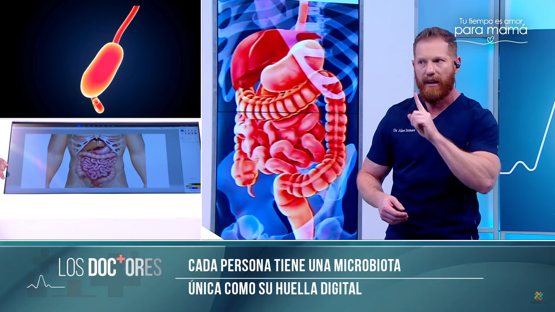 ‘The Doctors’: Effects of the microbiota